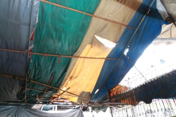 IMG_9794_resize.JPG